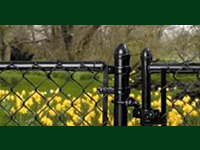 Chain Link Fencing